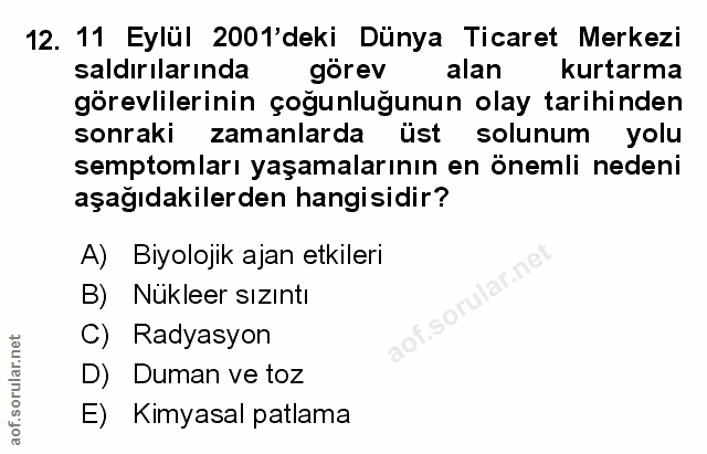 Soru 12