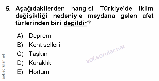 Soru 5
