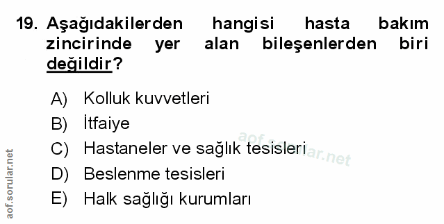 Soru 19