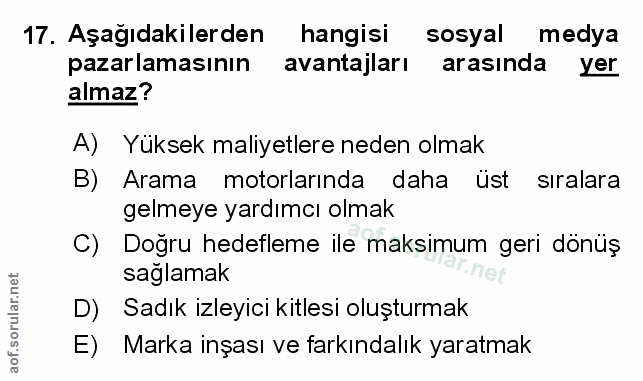 Soru 17