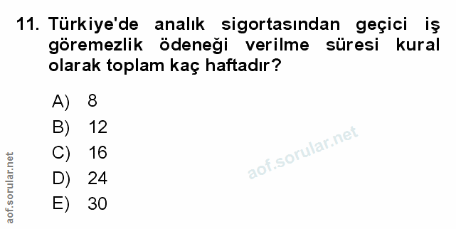 Soru 11