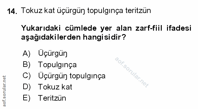 Soru 14