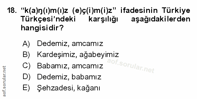 Soru 18