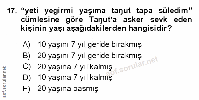 Soru 17