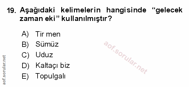Soru 19