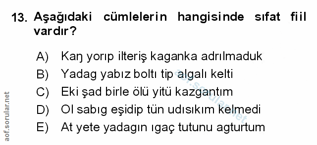 Soru 13