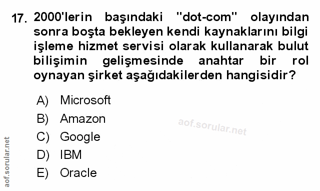 Soru 17