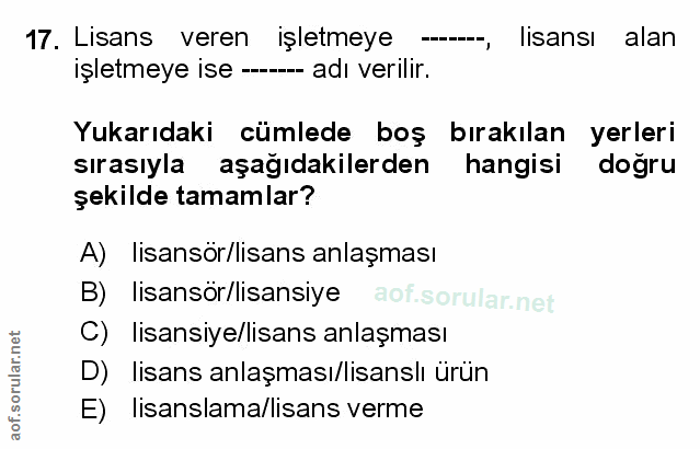 Soru 17
