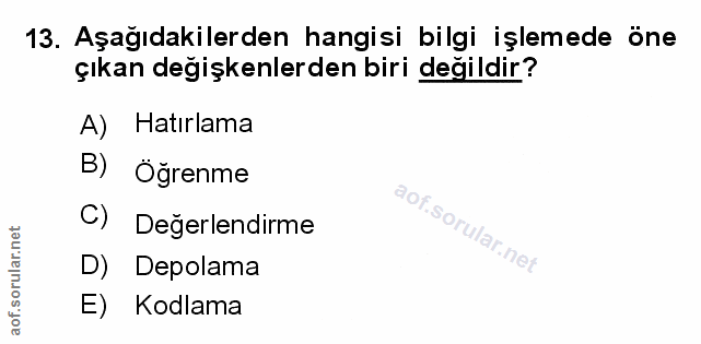 Soru 13