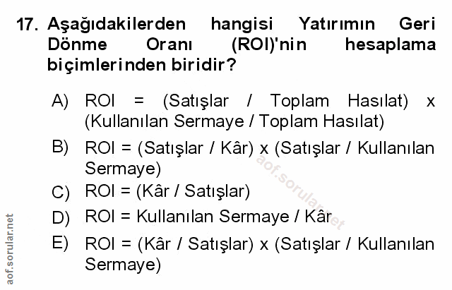 Soru 17