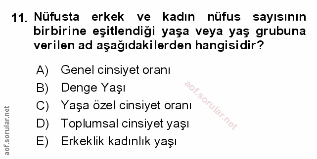 Soru 11