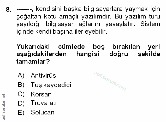 Soru 8