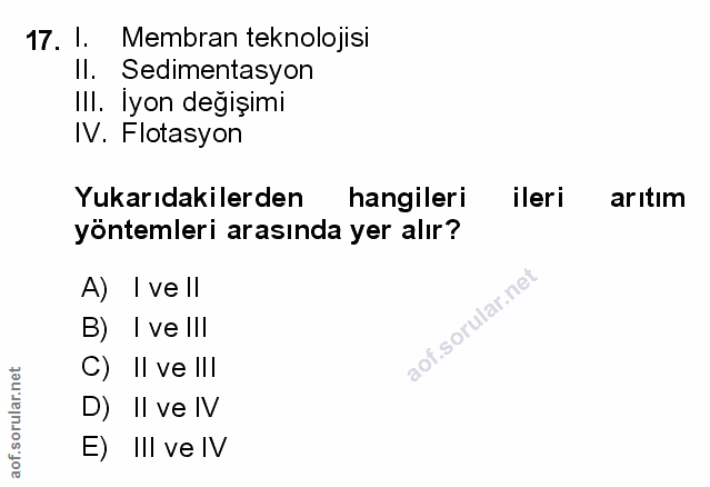 Soru 17