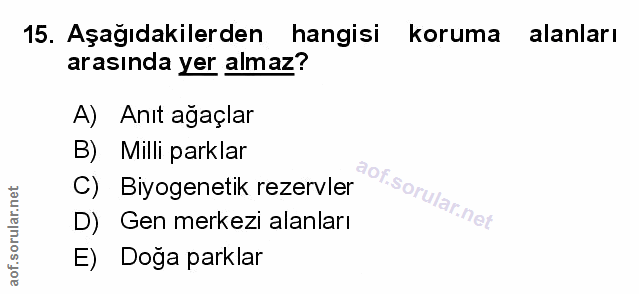 Soru 15
