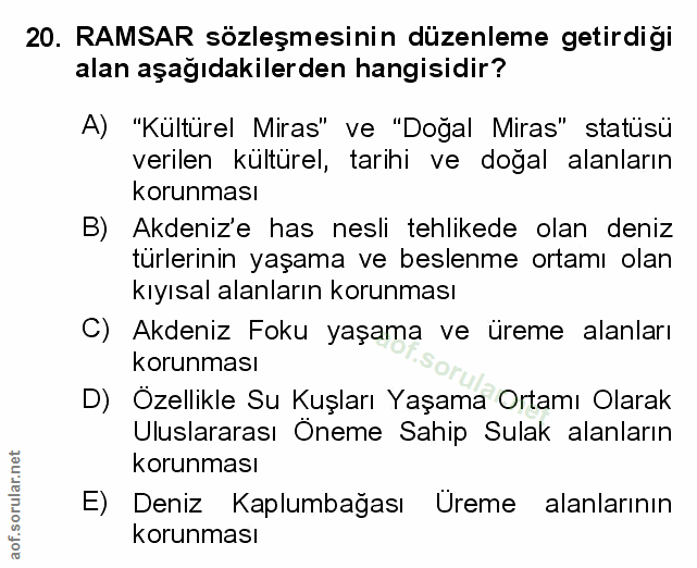 Soru 20