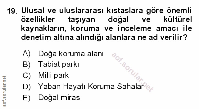 Soru 19