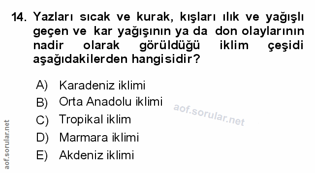 Soru 14