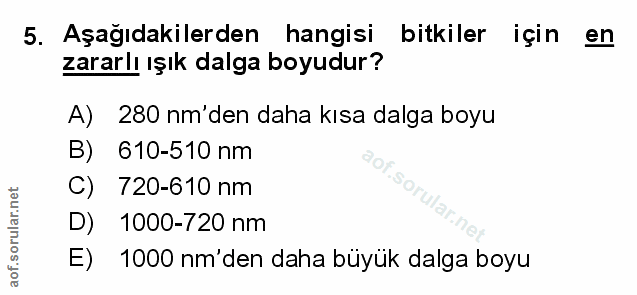 Soru 5