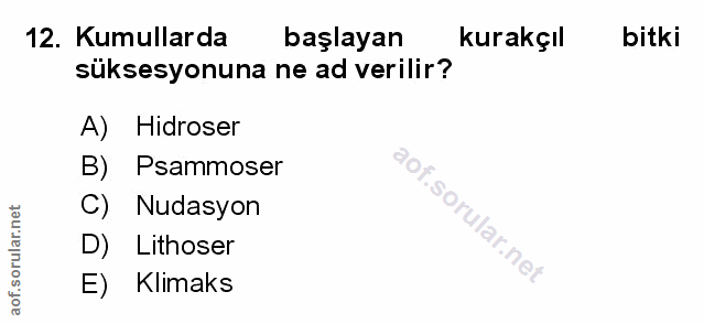 Soru 12