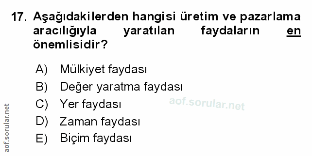 Soru 17