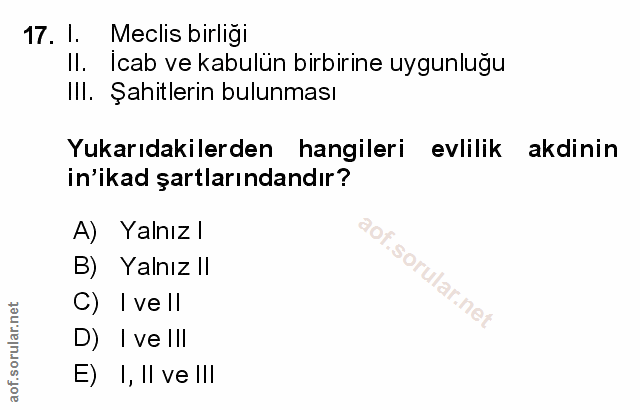 Soru 17