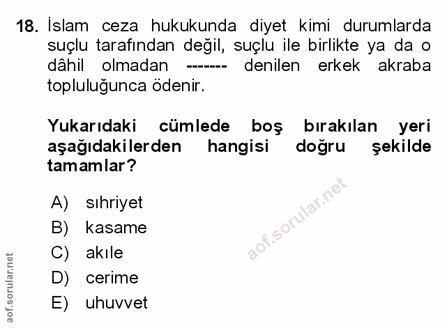 Soru 18