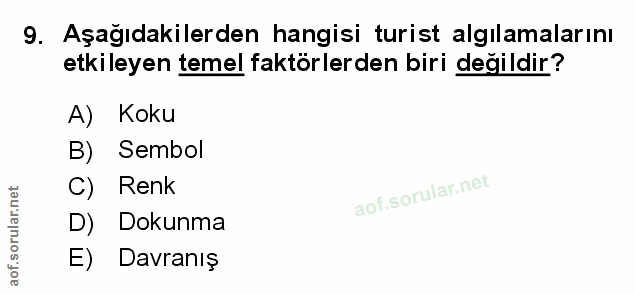Soru 9