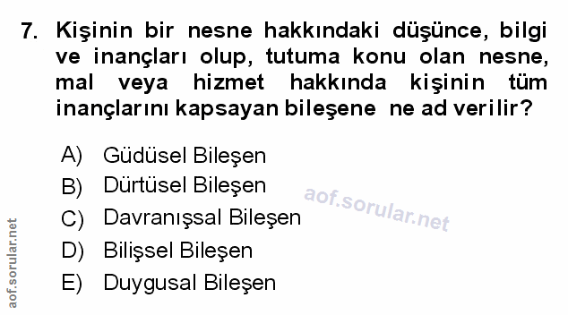 Soru 7
