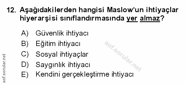 Soru 12
