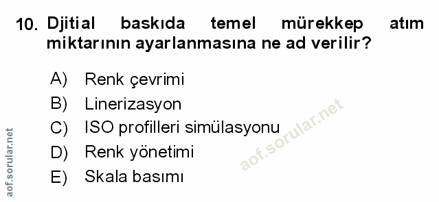 Soru 10