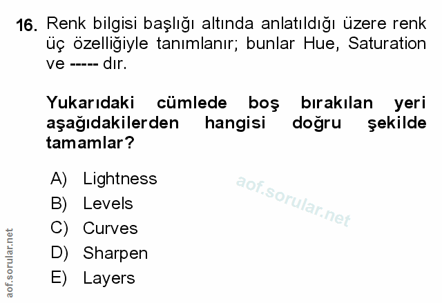 Soru 16