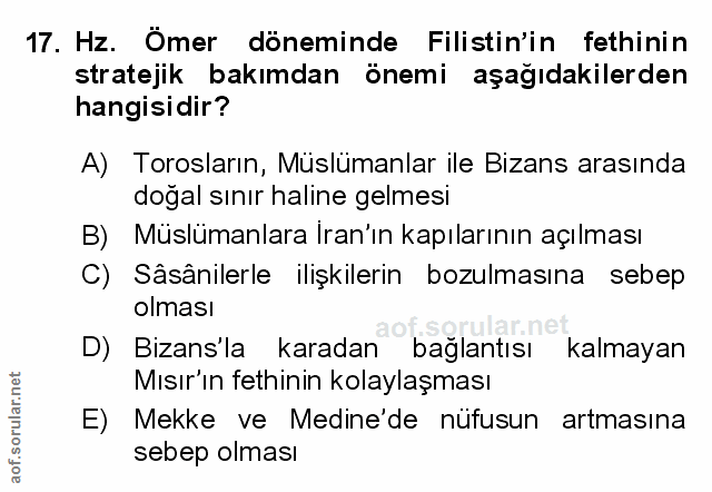 Soru 17