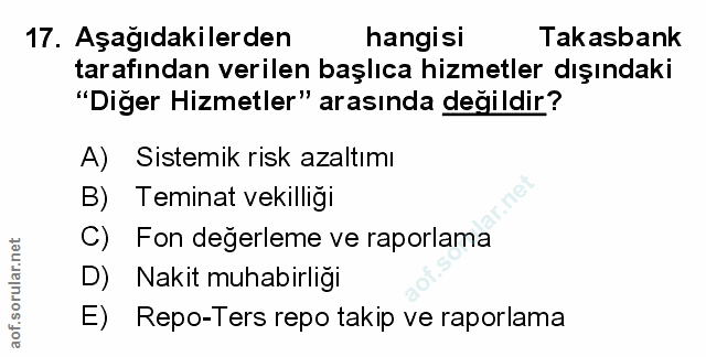 Soru 17