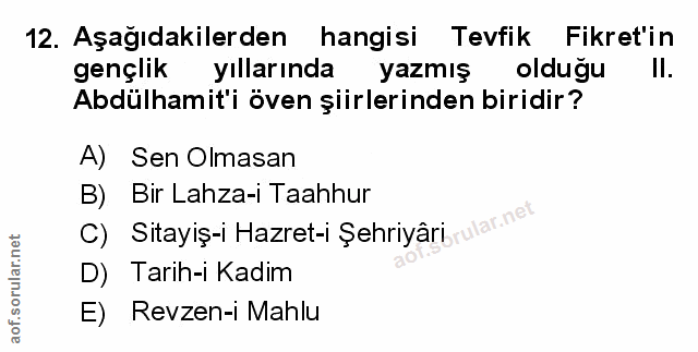 Soru 12