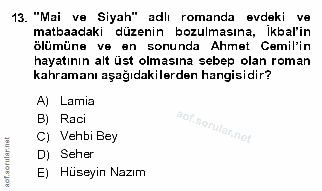 Soru 13