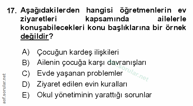 Soru 17