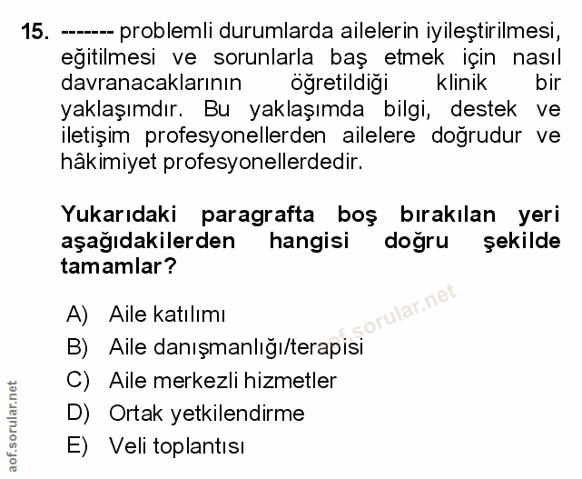 Soru 15