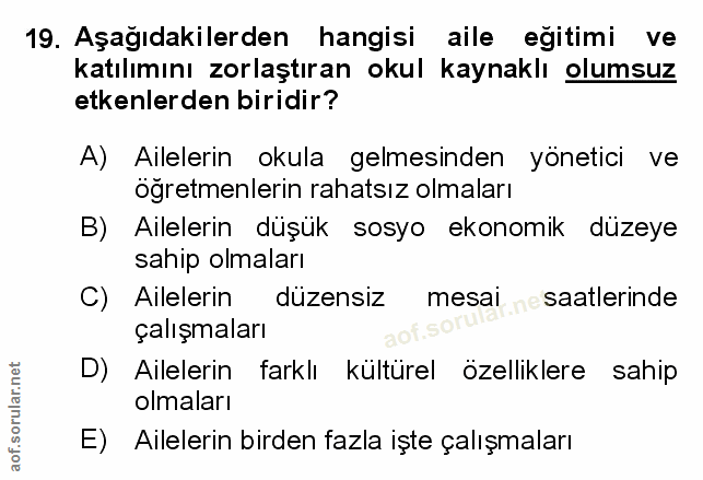Soru 19