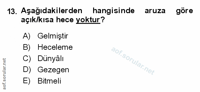 Soru 13