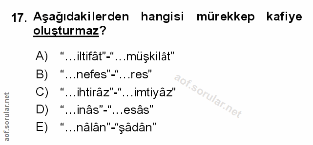 Soru 17