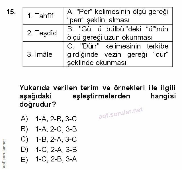 Soru 15