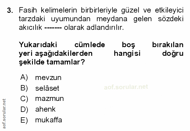 Soru 3