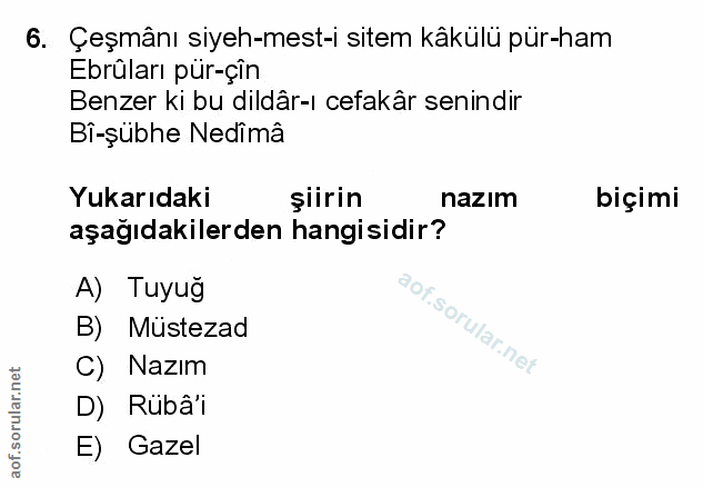 Soru 6