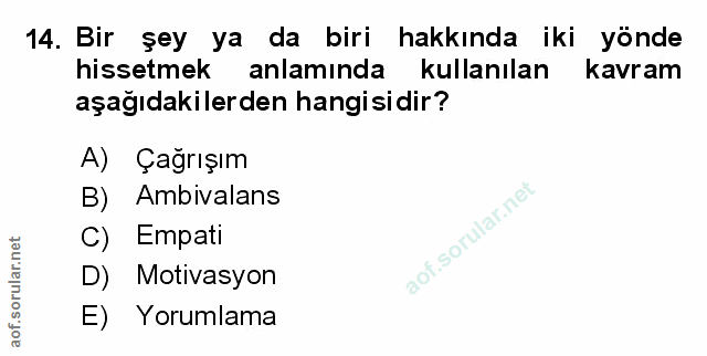 Soru 14