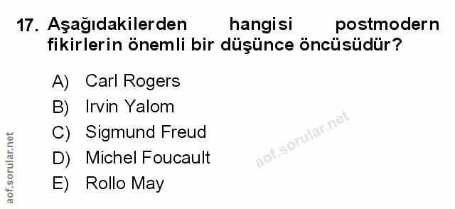 Soru 17