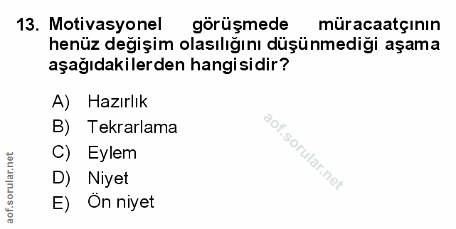 Soru 13