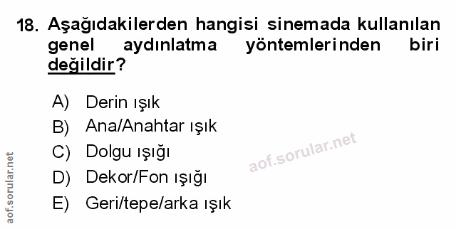 Soru 18