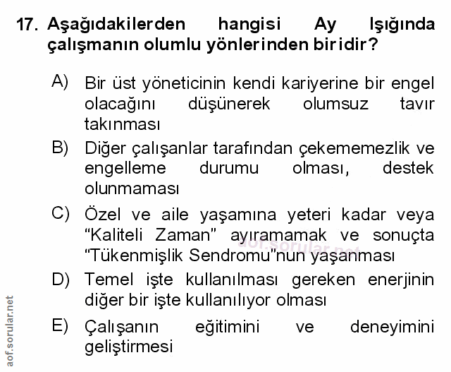 Soru 17