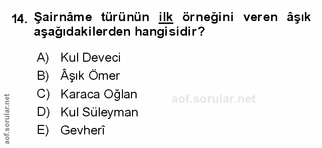 Soru 14