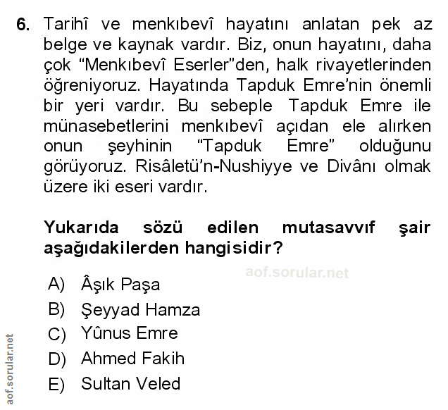 Soru 6